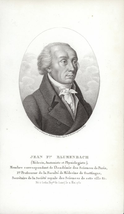 Johann Friedrich Blumenbach af German School