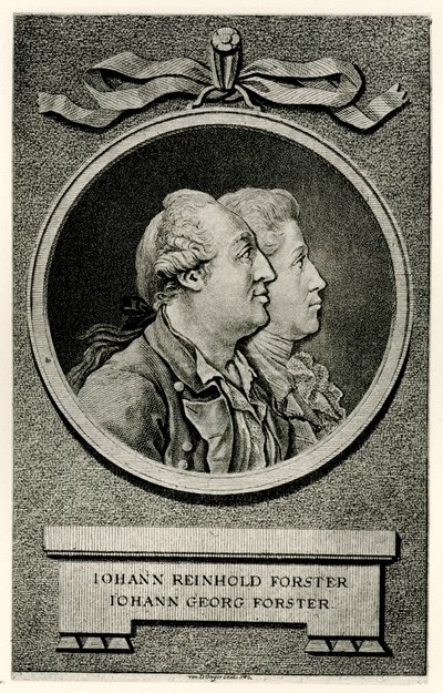 Johann Georg Forster af German School