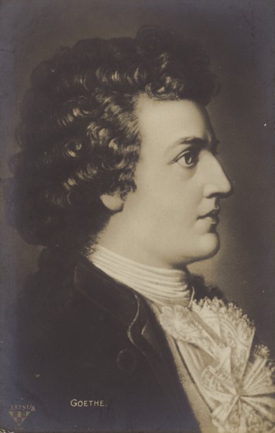 Johann Wolfgang von Goethe (1749-1832), tysk digter, romanforfatter og skuespilforfatter (litografi) af German School