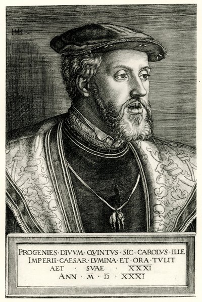 Charles V. af German School