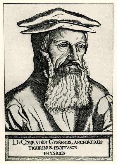 Konrad Gesner af German School