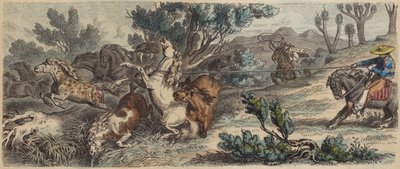 Lassoing af vilde heste i New Mexico (farvet indgravering) af German School