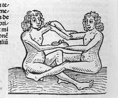 Les Gemini - i Traité de Johannes Angelo om årenes store forbindelser og deres revolutioner. Augsburg, Erhard Ratdolt af German School