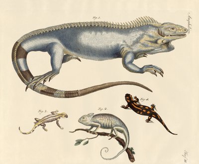 Firben af German School