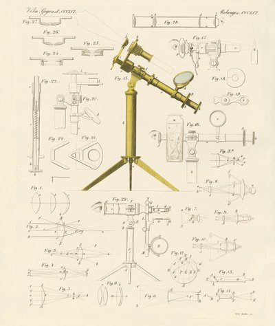 Forstørrelsesglas og mikroskopiske forlystelser (farvet gravering) af German School