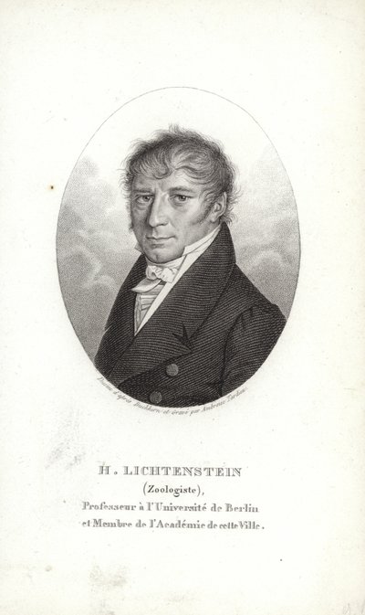 Martin Lichtenstein af German School