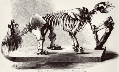 Megatherium skelet på British Museum af German School