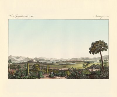 Mexico (farvet gravering) af German School