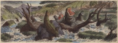 Bjergstrøm i det nordøstlige Afrika i oversvømmelse i regntiden (farvet indgravering) af German School