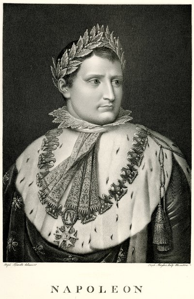 Napoleon I., 1884-90 (fototype) af German School