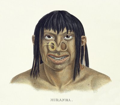 Indfødt mand af Miranha-stammen, med næsedekoration, fra Atlas of a Journey in Brazil af Johann Baptist von Spix (1781-1826) og Karl Friedrich Philipp Martius (1794-1868), udgivet ca. 1835-50 (kol. af German School