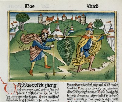 Nummer 13 23 Eshkols druer, fra Nürnbergbibelen (Biblia Sacra Germanica) (farvet træsnit) af German School