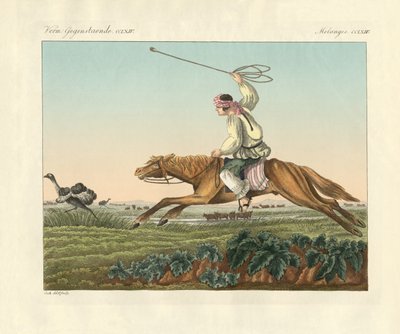 Strudsejagt (farvet indgravering) af German School