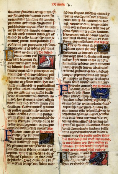 Side fra De Natura Rerum om fugle, af Albertus Magnus (ca. 1200-1280) af German School