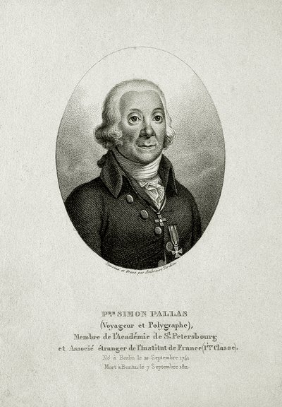 Peter Simon Pallas. (1741 – 1811) (Streggravering) af German School