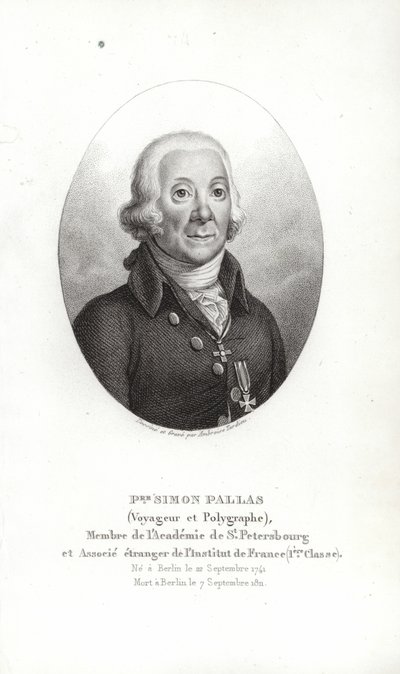 Peter Simon Pallas af German School