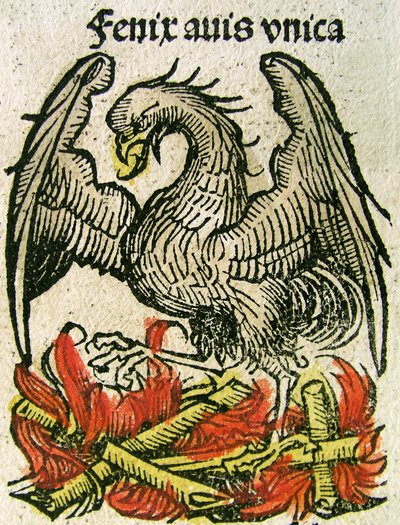 Phoenix offentliggjort i Nürnberg Chronicle, 1493 af German School
