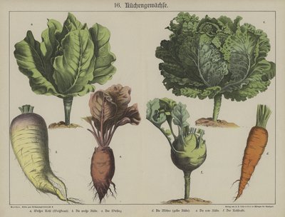 Planter af German School