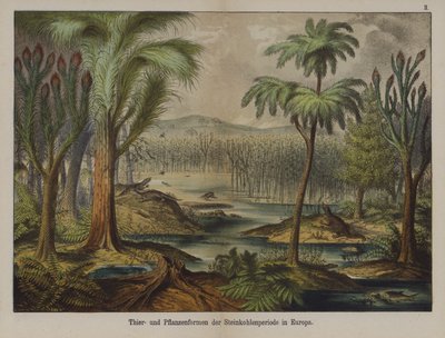 Planter og dyr fra karbonperioden i Europa (farve litho) af German School