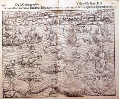 Plade, der repræsenterer alle typer marine og terrestriske monstre fundet i nordlige områder: Xilografi taget fra Sebastien Munsters Universal Cosmography. balle af German School