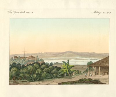 Pulu Penang (farvet gravering) af German School