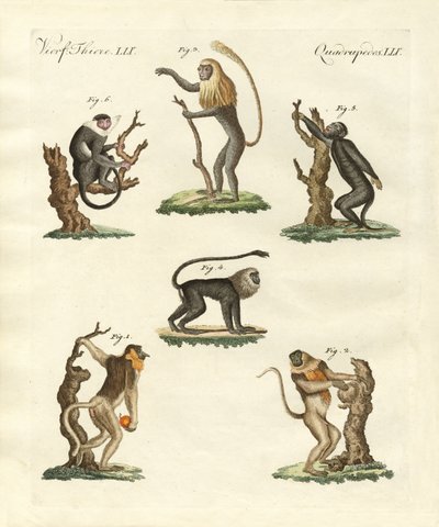 Nogle slags aber af German School