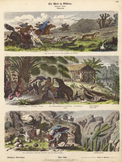 Sydamerika (farvet gravering) af German School