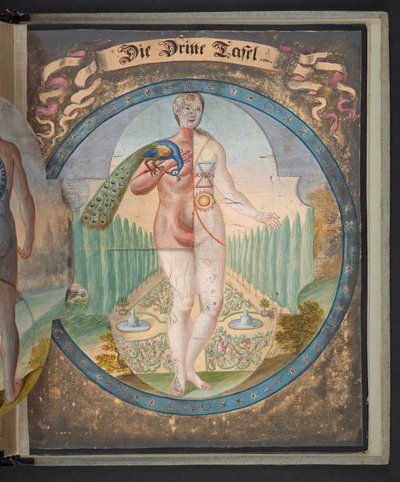 Tabeller, der repræsenterer mennesket i tre forskellige tilstande af German School
