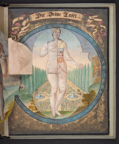 Tabeller, der repræsenterer mennesket i tre forskellige tilstande, Tilføj MS 5788 af German School
