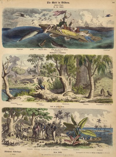 Stillehavet: skibbrudsoverlevende driver på en tømmerflåde i Sydhavet; skov i New Holland (Australien); en stillehavsø (farvet indgravering) af German School