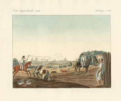 Den sydlige del af Matadero, et af de offentlige slagterier i Buenos Aires (farvet gravering) af German School