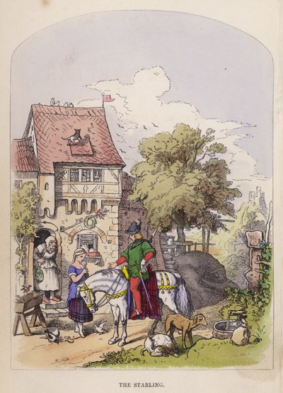 Stæren (farve litho) af German School