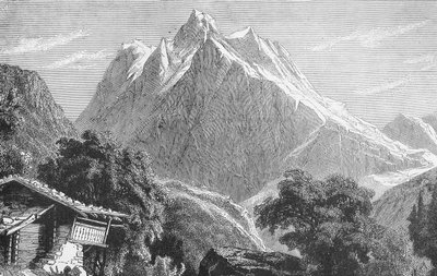 Wetterhornet af German School