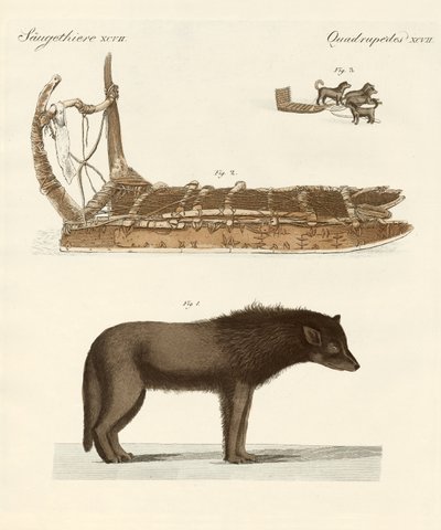 The Dog of the Baffin-Bay (farvet indgravering) af German School