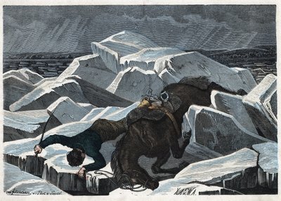 Grev Sandors og hans hests fald på Donaus knuste is. I "" Wenn Jemand eine Reise thut, so kann er was erzahlen"" (Når nogen rejser, det er det, han kan fortælle), tysk fortælling af Franz Wiedemann af German School