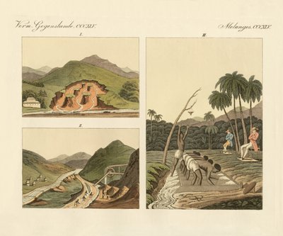 Ædelstensminerne i Brasilien (farvet gravering) af German School
