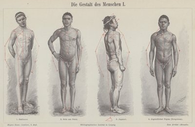 Den menneskelige figur (gravering) af German School