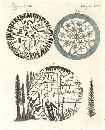 Ananas af German School