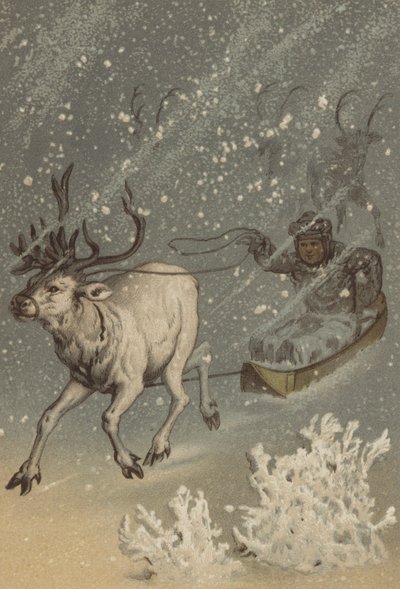 Rensdyret (chromolitho) af German School