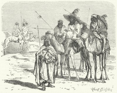 Tuaregs (gravering) af German School