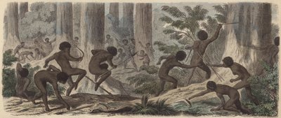 To stammer af australske aboriginer kæmper (farvet indgravering) af German School
