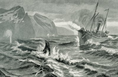 Brug af en harpunpistol fra en hurtig dampbåd af German School