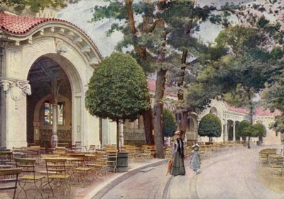 Viennese Coffee Hall, Berlin Zoological Garden, Tyskland (farve litho) af German School