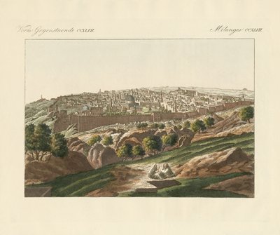 Udsigt over Jerusalem (farvet gravering) af German School