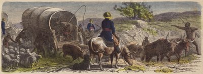 Vogntog i Sydafrika (farvet gravering) af German School