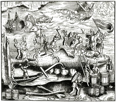 Hvalfiskeri efter et træsnit i Cosmographie Universelle of Munster, udgivet 1552 af German School