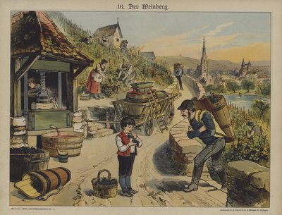Vin (farve litho) af German School