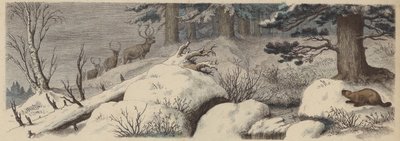 Vinterlandskab i Canada (farvet gravering) af German School