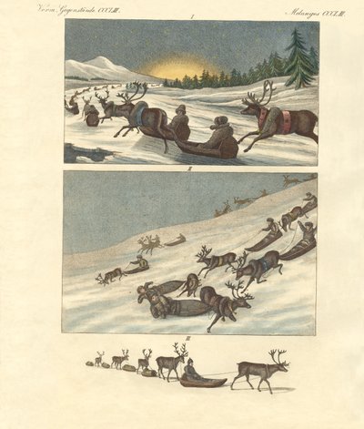 Vinterture i Lapland (farvegravering) af German School