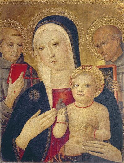 Madonna og barn med Sankt Frans og Sankt Bernhard (olie på panel) af Gerolamo di Benvenuto